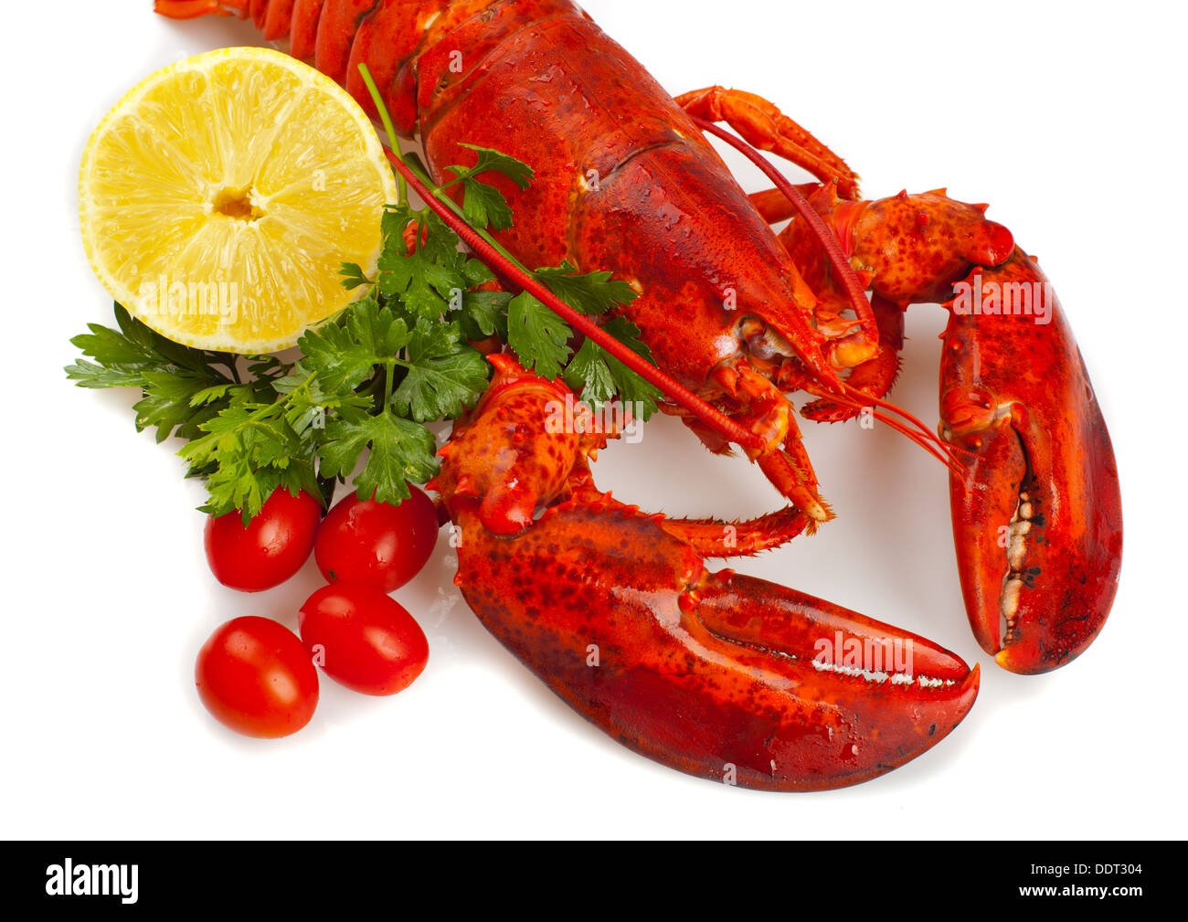 Red Lobster avec citron et persil sur fond blanc Banque D'Images