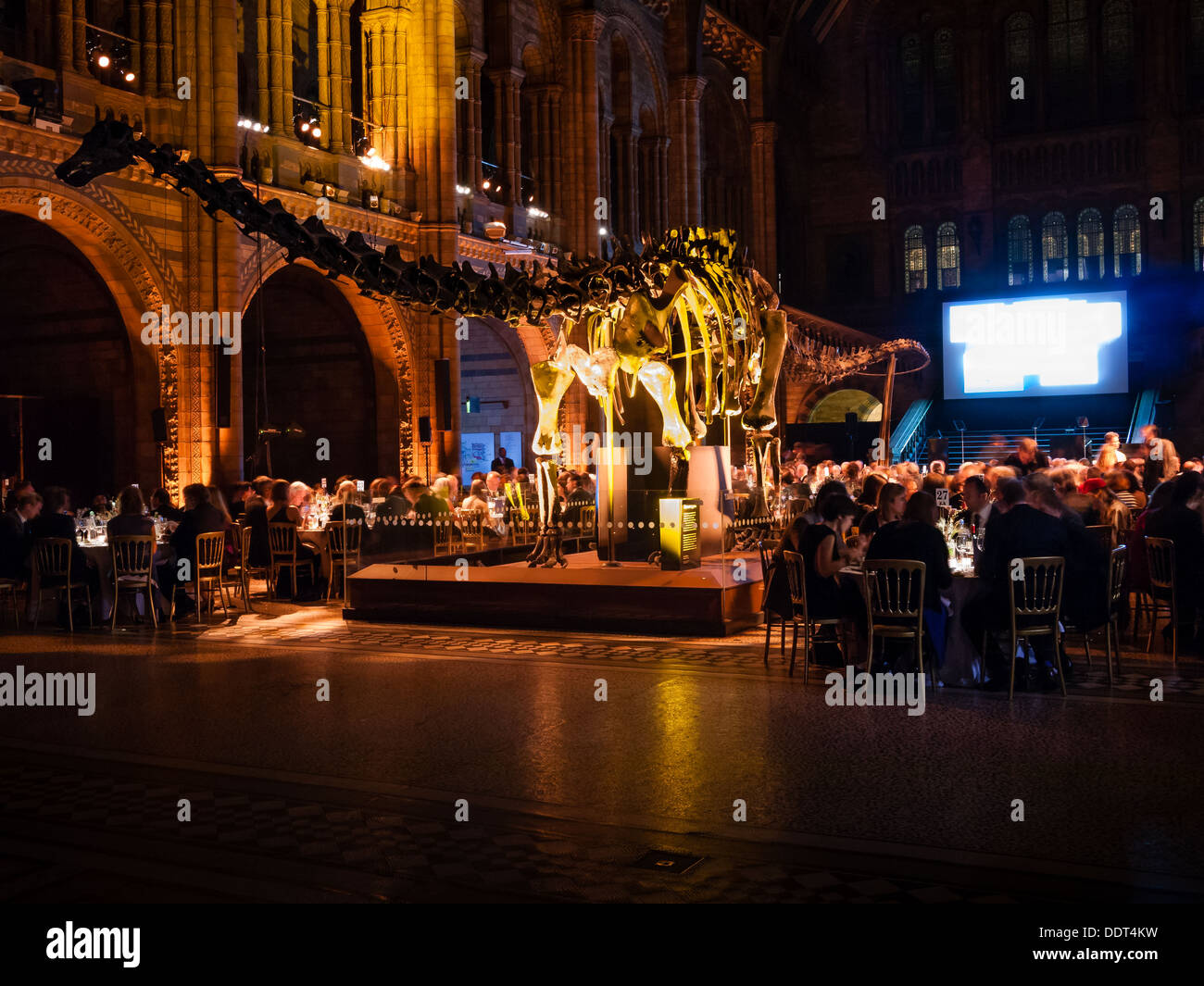 Photographe de la vie sauvage de l'année le dîner au Natural History Museum de Londres Banque D'Images