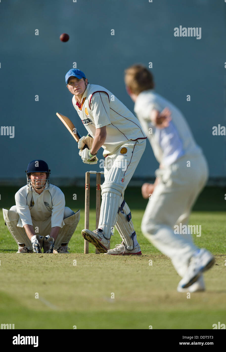 Batteur prépare à jouer avc l'arrière pied contre spin bowler. Banque D'Images