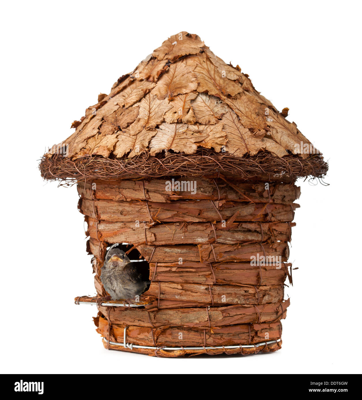 Wooden birdhouse avec petit moineau sur un fond blanc Banque D'Images