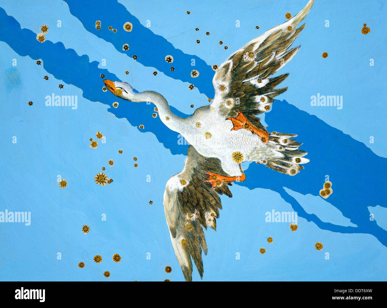 Constellation des poissons, 1603. Artiste : Alexander Mair Banque D'Images