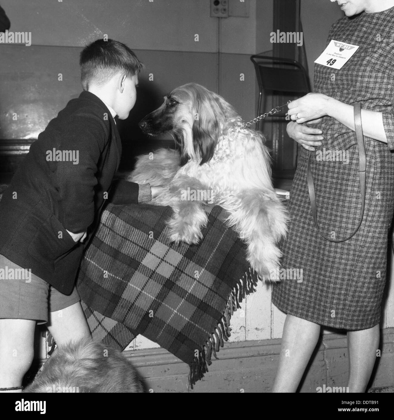 Enfant avec un lévrier afghan lors d'une exposition canine en Horden, County Durham, 1963. Artiste : Michael Walters Banque D'Images