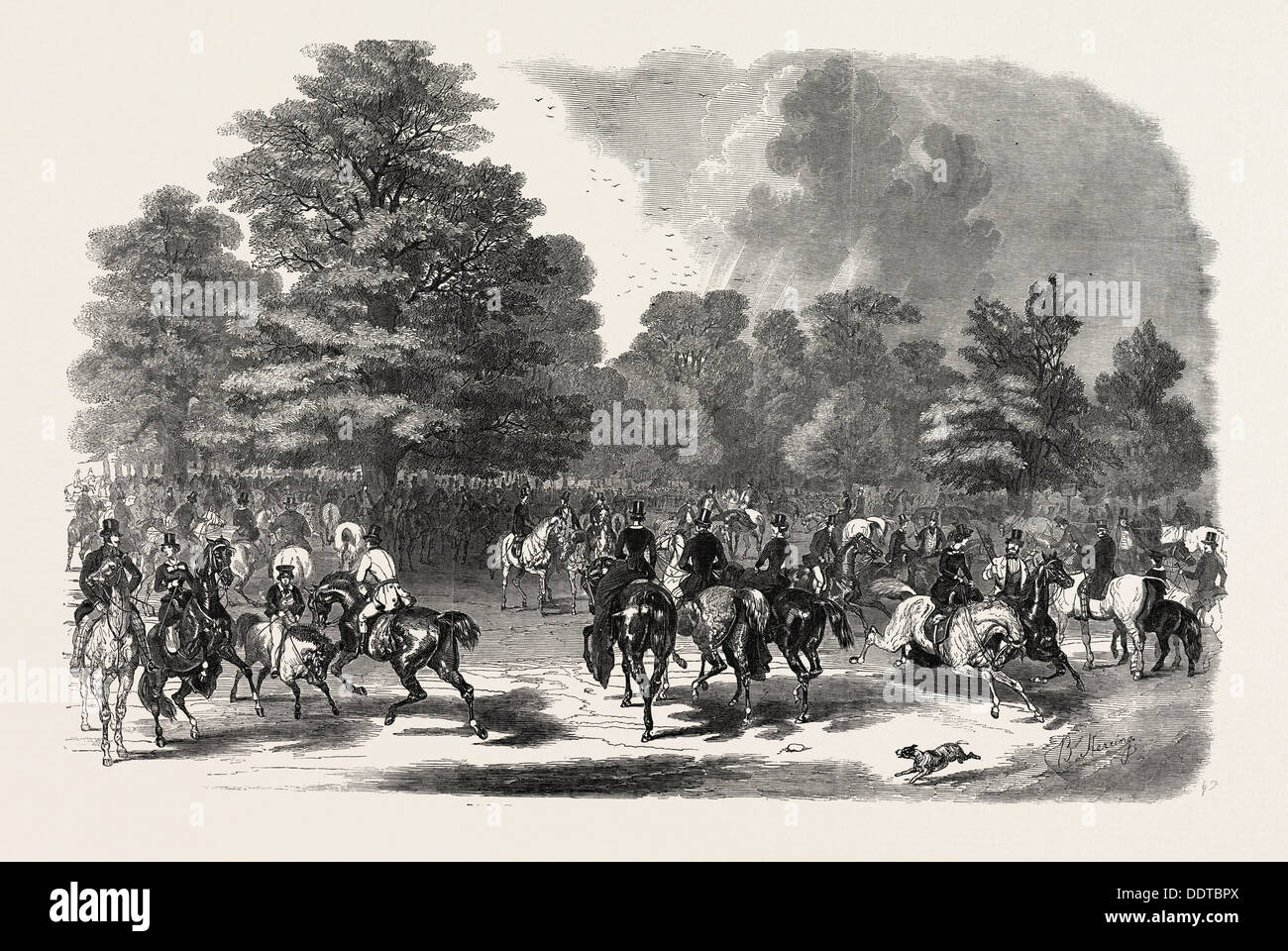 ROTTEN ROW, Hyde Park, London, UK, 1851 Gravure Banque D'Images