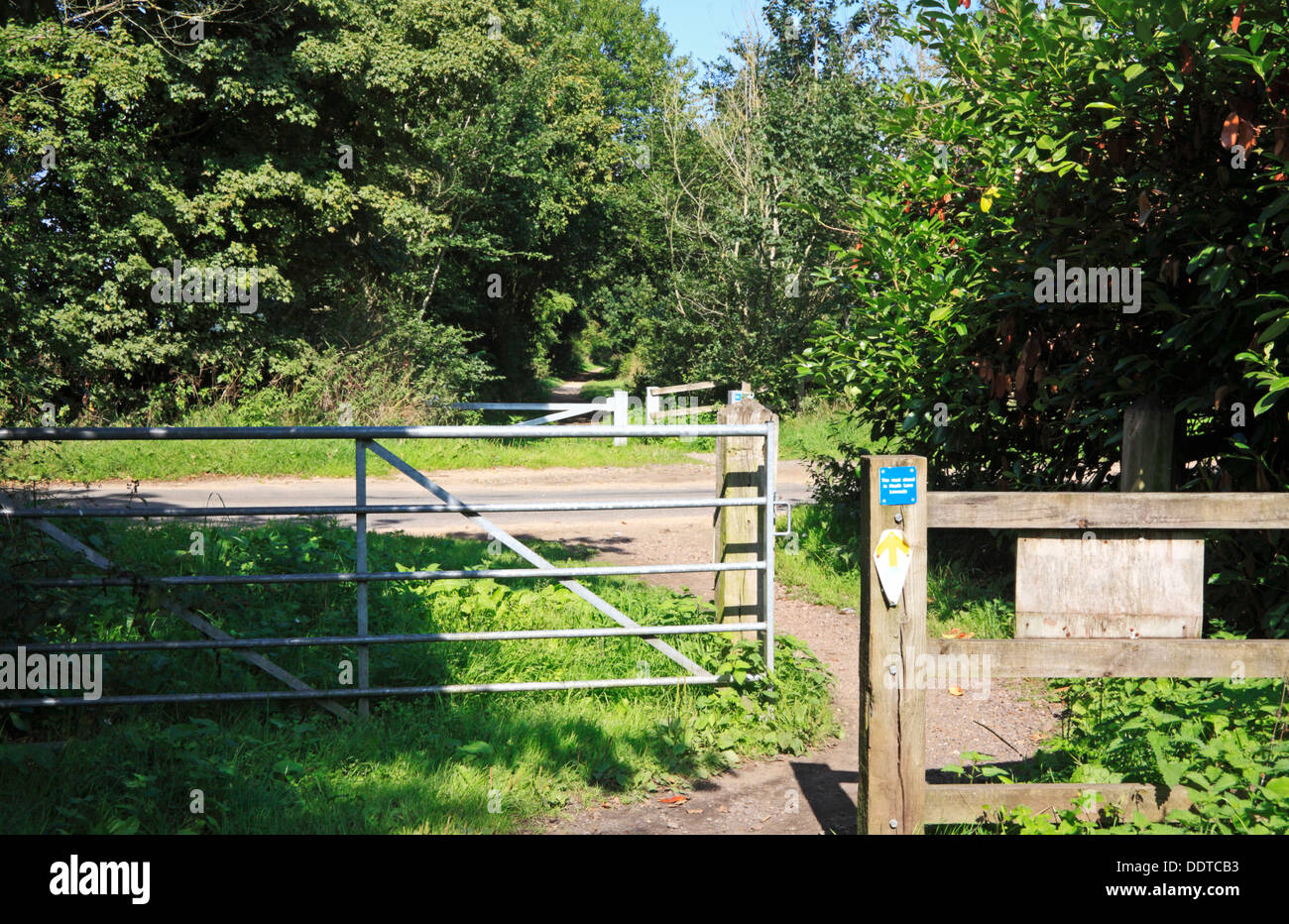 Des barrières de sécurité à un franchissement routier sur le chemin du Marriott au sentier de grande Lenwade, Norfolk, Angleterre, Royaume-Uni. Banque D'Images