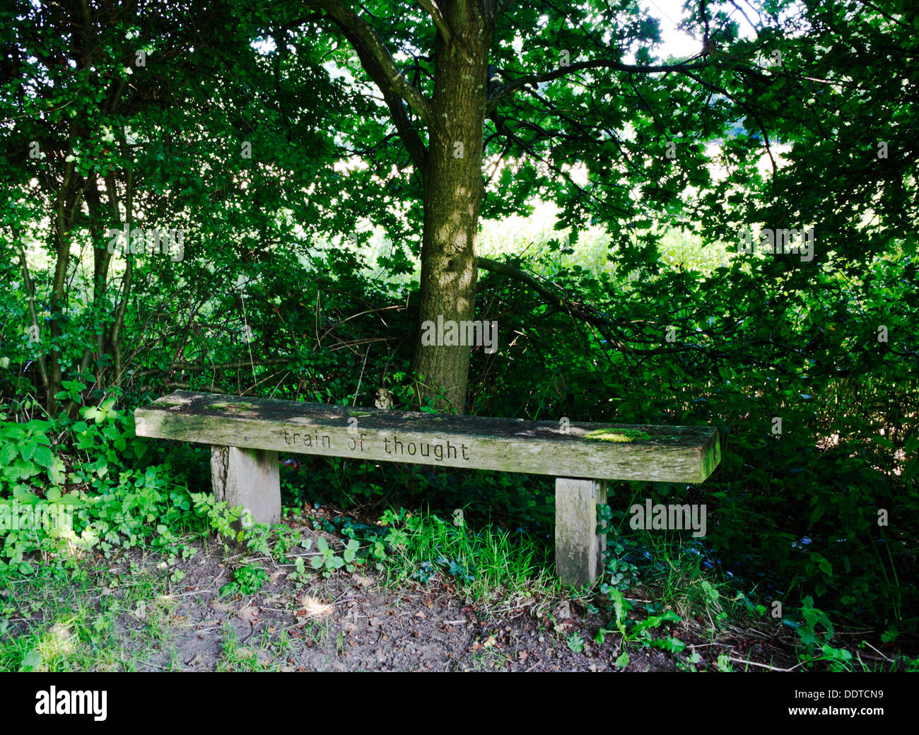 Un siège en bois pour se reposer sur le Marriott's Way au sentier Lenwade, Norfolk, Angleterre, Royaume-Uni. Banque D'Images