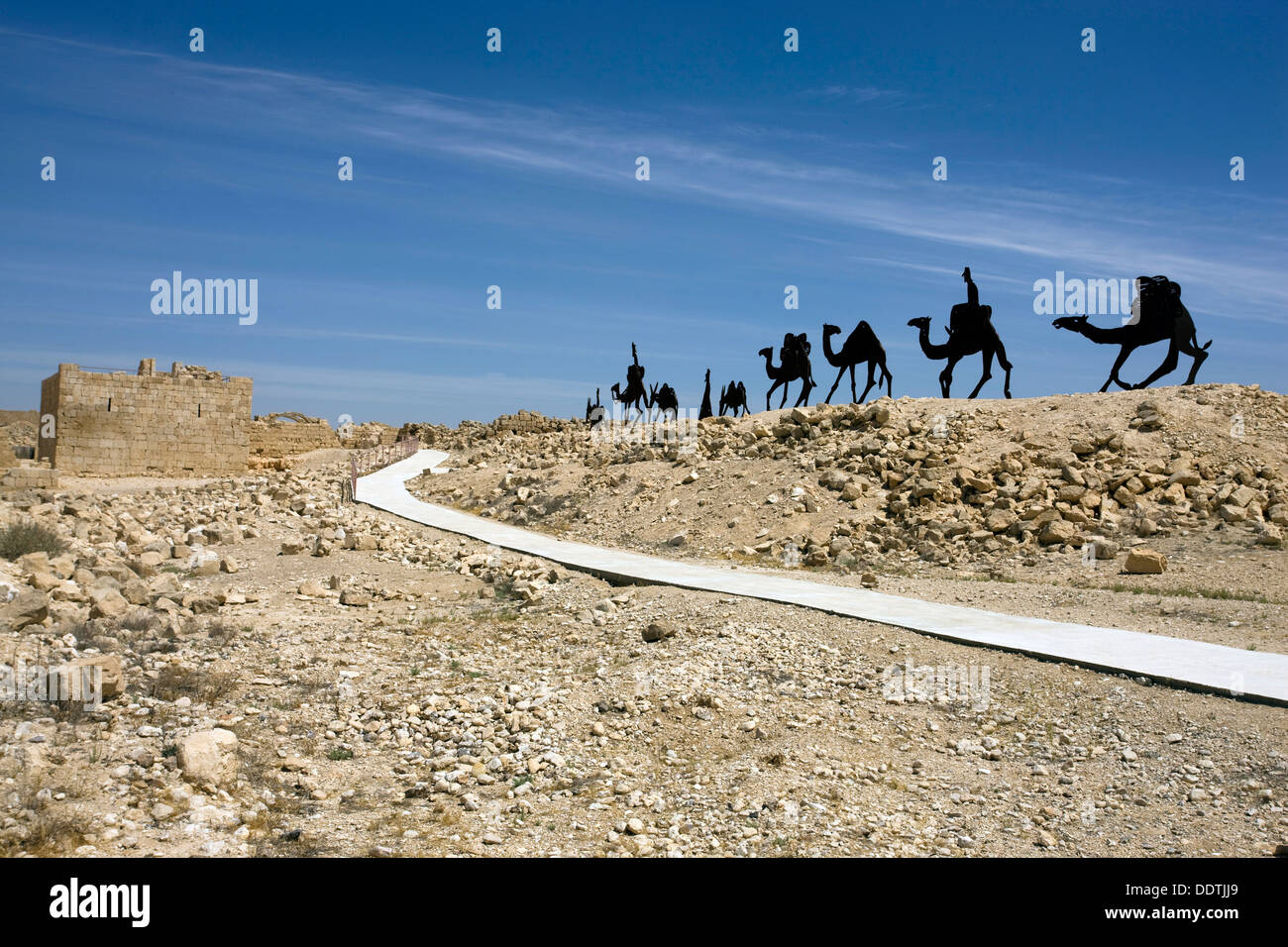 Approche d'Avdat, chameaux Israël. Artiste : Samuel Magal Banque D'Images
