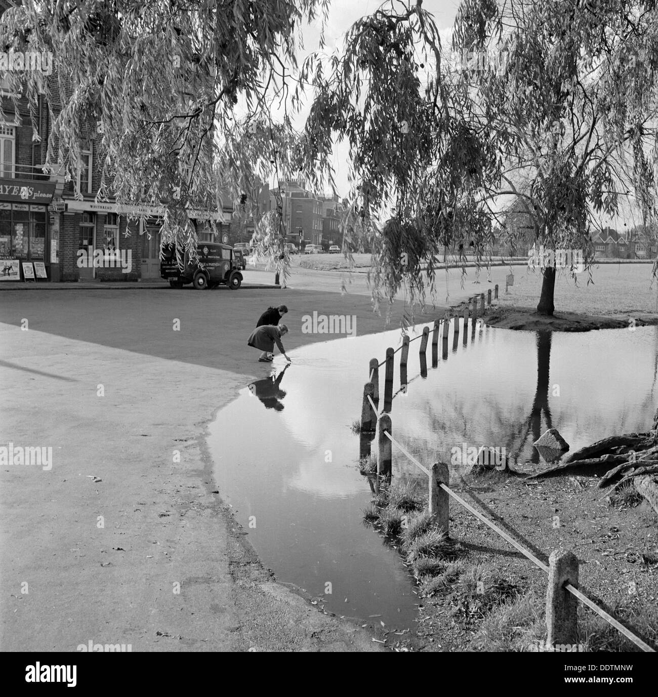 Le lièvre et l'étang de billettes, Blackheath, Londres, 1955-1965. Artiste : John Gay Banque D'Images