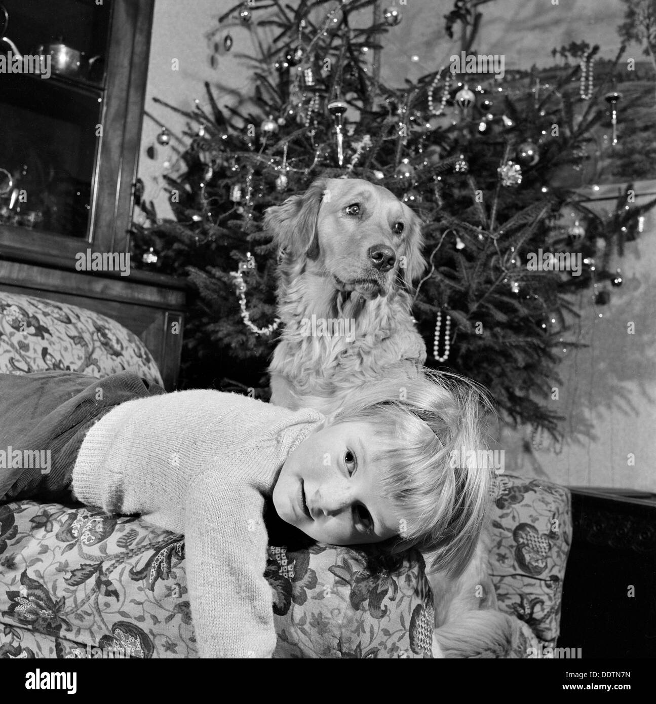 Enfant, le chien et l'arbre de Noël, Décembre 1960. Artiste : John Gay Banque D'Images