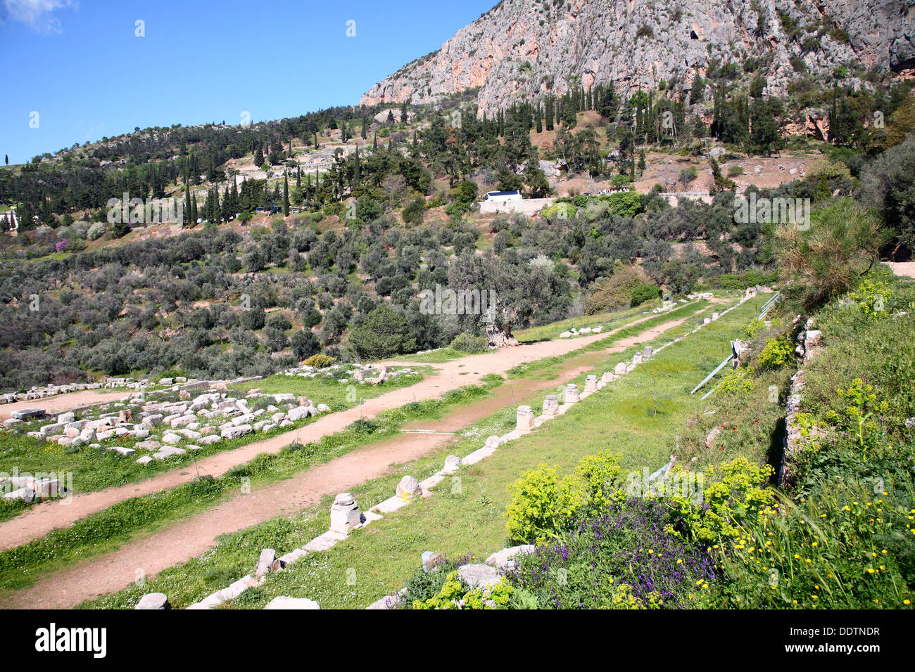 Le gymnase de Delphes, en Grèce. Artiste : Samuel Magal Banque D'Images