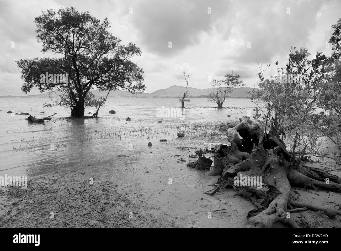 Une plage sur l'île de Phuket, Thaïlande Banque D'Images