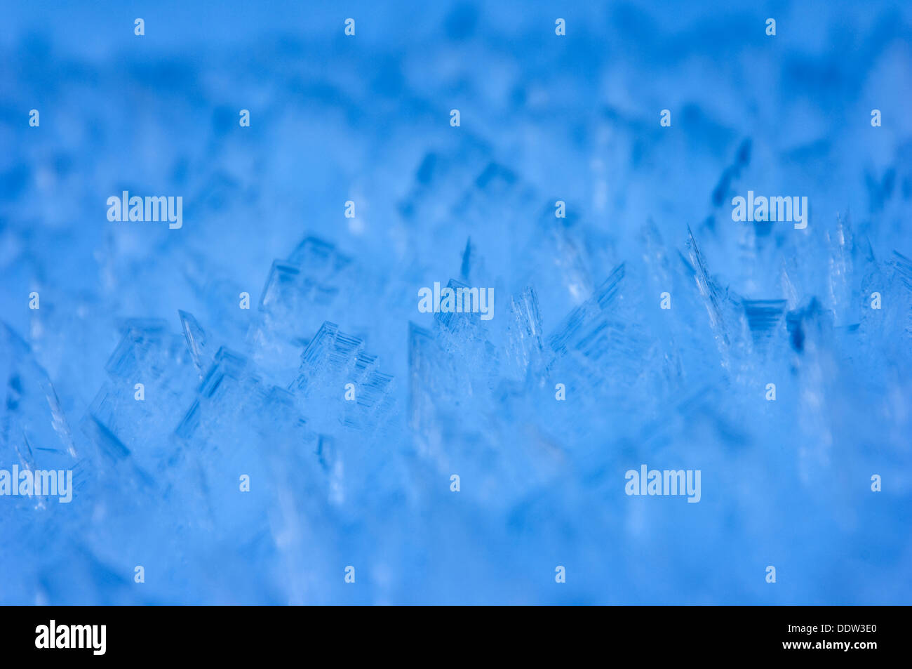 Close-up de cristal de glace avec une faible profondeur de champ, Haute Savoie, France. Banque D'Images