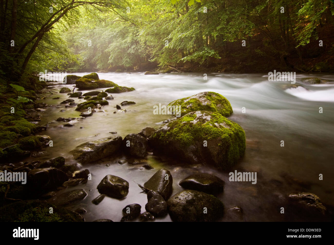 Petite rivière de montagne avec des forêts, le Dranse, Haute Savoie, France. Banque D'Images