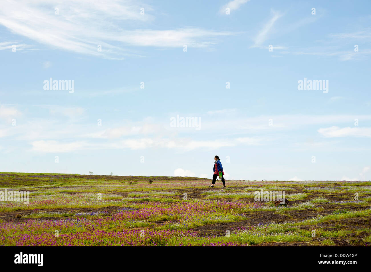 Une femme marche à travers Kass Plateau, Site du patrimoine mondial de l'UNESCO a approuvé Banque D'Images