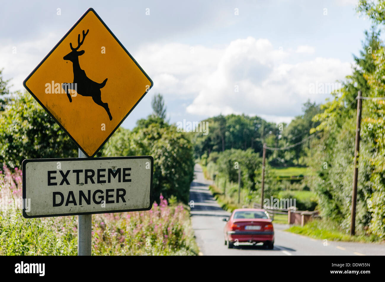 Route jaune signe sur une route rurale d'avertissement le cerf sur la route avec les mots "extrême danger' Banque D'Images