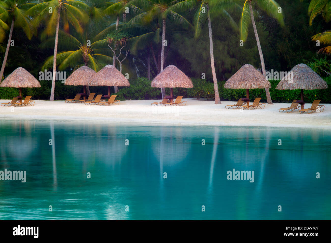 Sur le lagon avec plage Parasols et chaises. Bora Bora. Polynésie Française Banque D'Images