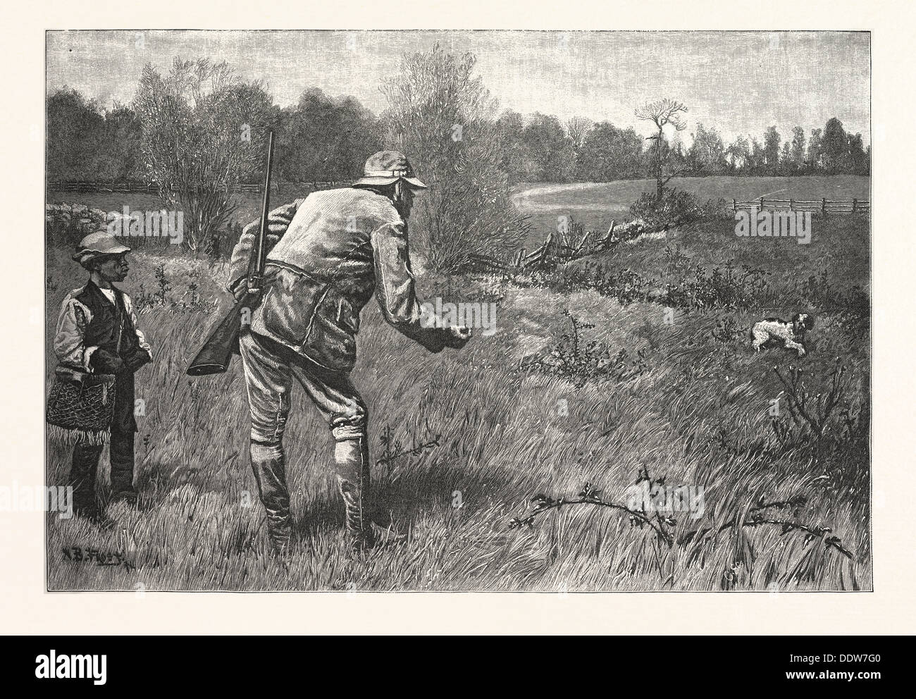 GUN SHY APPELÉE A. B. FROST, gravure 1880, us, usa Banque D'Images