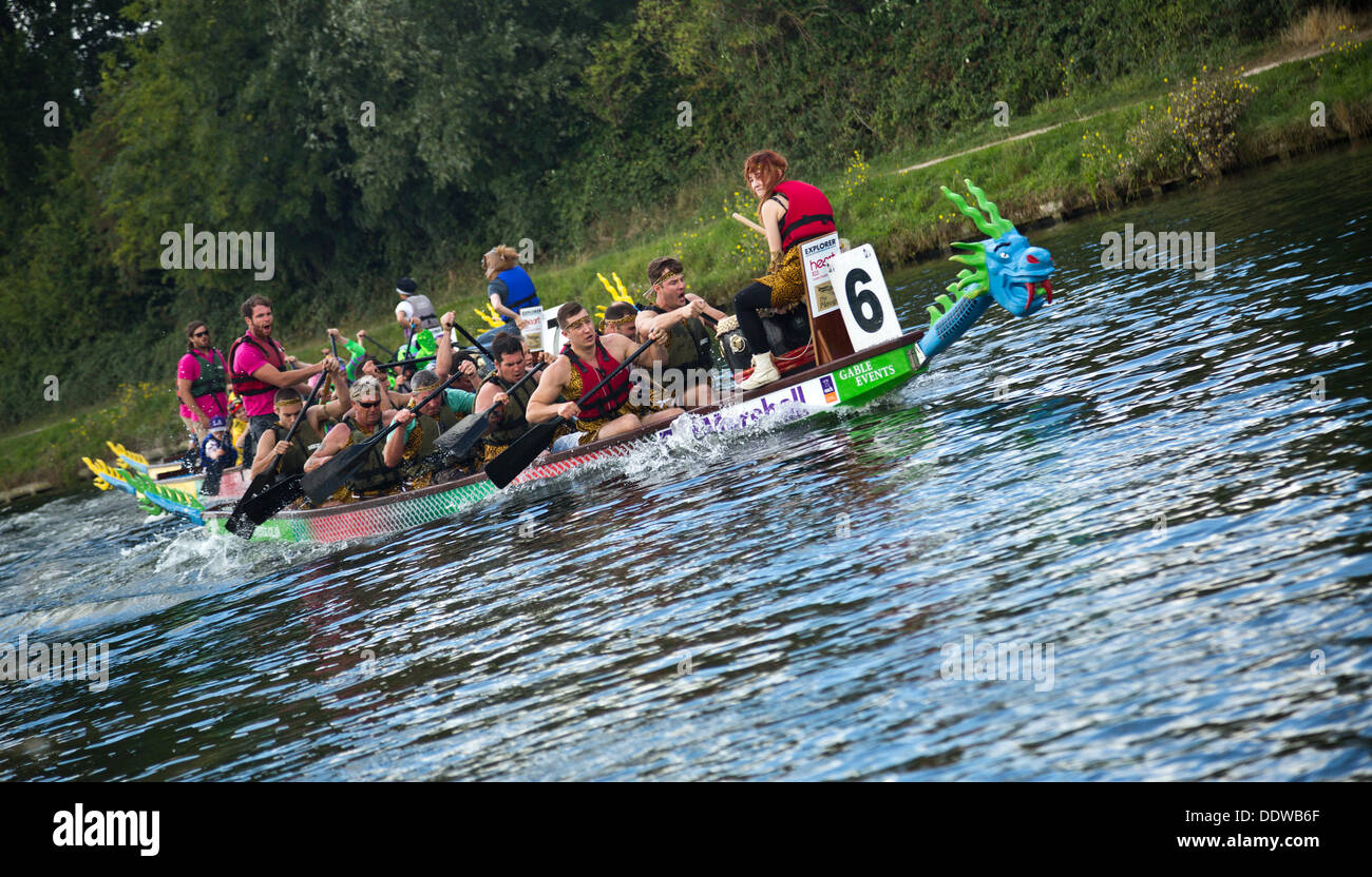 Course de bateaux-dragons sur la rivière Cam, Cambridge, Angleterre Banque D'Images