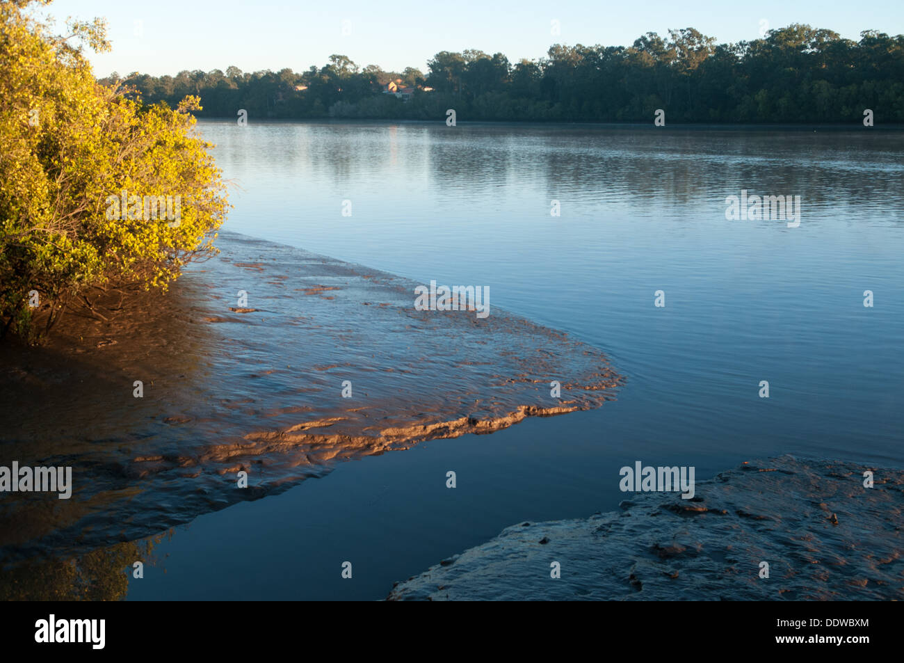 Marée basse sur le fleuve de Brisbane, Brisbane, Queensland, Australie Banque D'Images