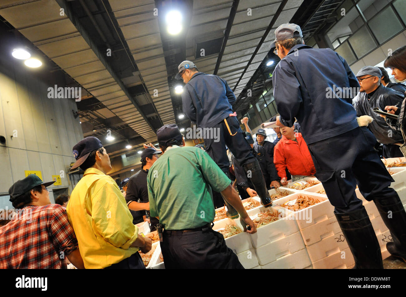 Vente aux enchères de fruits de mer au marché central de vente en gros Municipal d'Osaka au Japon. Banque D'Images