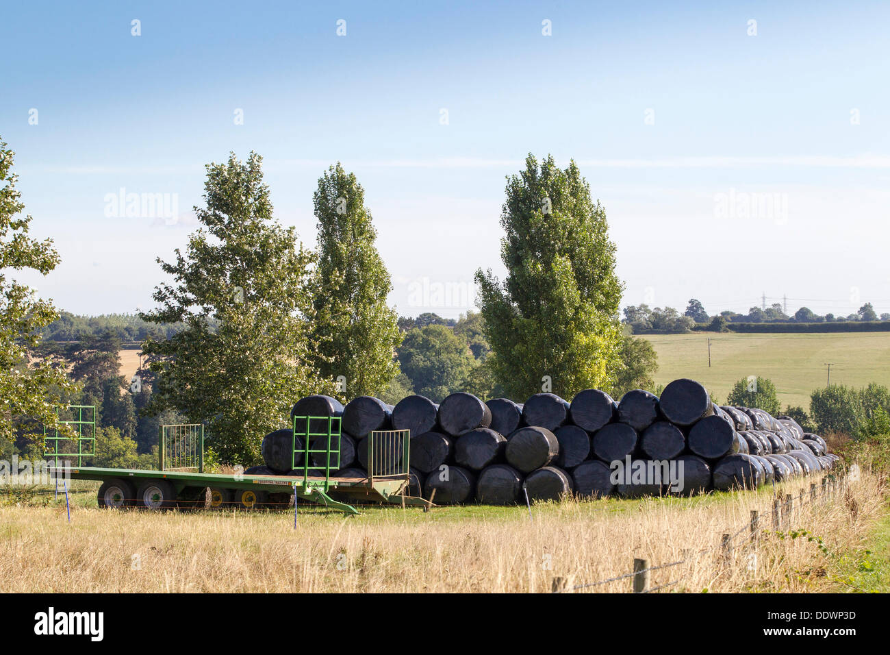 Le Northamptonshire 8 septembre 2013. Ecton Brook. Que le gel s'étend dans l'ombre d'une haie. À la fin de l'été et l'automne commence à s'installer, les prises sont recueillies laissant le chaume sur le terrain prêt pour les agriculteurs à commencer le labour prêt pour les cultures d'hiver. Credit : Keith J Smith./Alamy Live News Banque D'Images