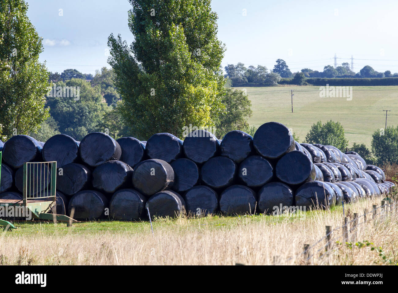 Le Northamptonshire 8 septembre 2013. Ecton Brook. Que le gel s'étend dans l'ombre d'une haie. À la fin de l'été et l'automne commence à s'installer, les prises sont recueillies laissant le chaume sur le terrain prêt pour les agriculteurs à commencer le labour prêt pour les cultures d'hiver. Credit : Keith J Smith./Alamy Live News Banque D'Images