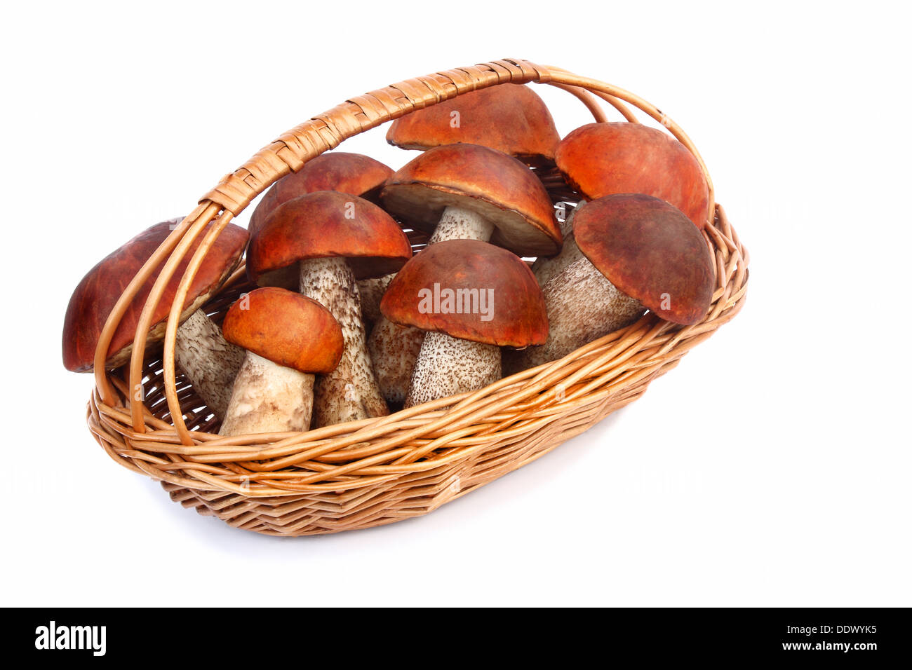 Beaux champignons, champignons d'aspen avec bonnets rouges dans un panier en osier. Présenté sur un fond blanc. Banque D'Images
