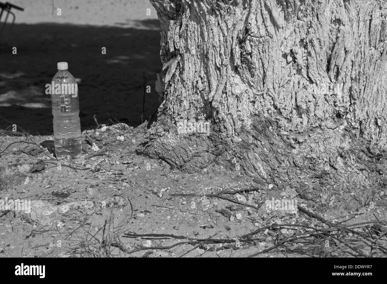 Mastichari Kos Grèce Banque D'Images