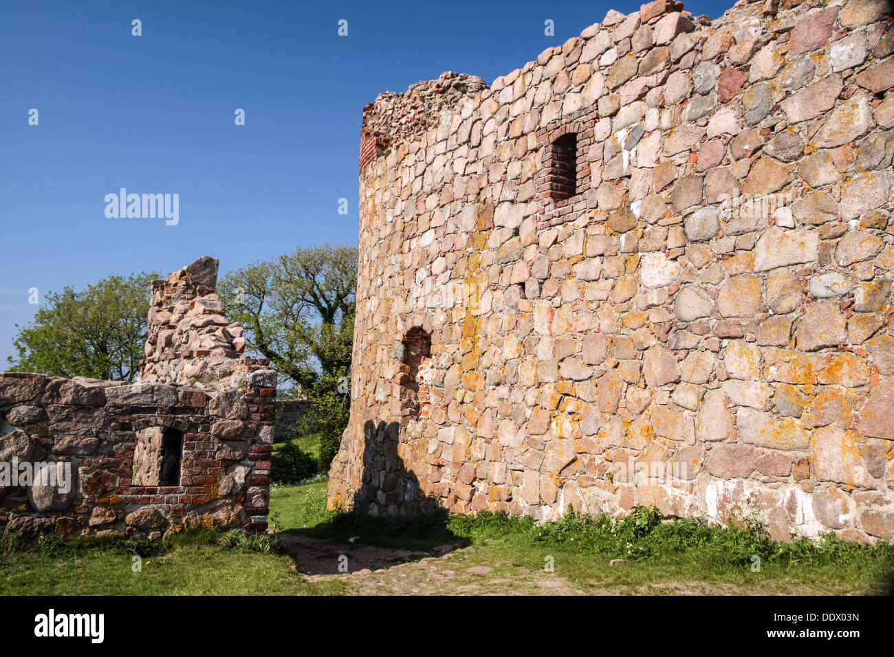 Ruines du château Hammershus avec un arbre distinctif sur Bornholm, Danemark Banque D'Images