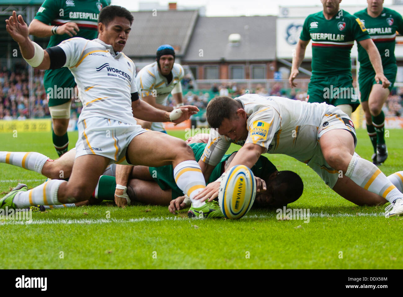 Leicester, Royaume-Uni. Sep 8, 2013. Vereniki Goneva Leicester scores essayez final. Action de la Aviva Premiership match entre Leicester Tigers et Worcester Warriors joué à Welford Road, Leicester Crédit : Graham Wilson/Alamy Live News Banque D'Images