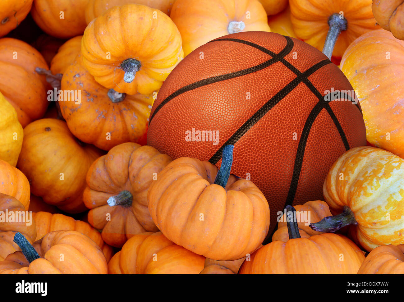 Fête de basket-ball et les sports d'automne lors de la récolte du temps avec un tournoi de balle dans une pile de citrouilles orange comme un concept pour un mode de vie sain et de manger des aliments naturels avec remise en forme par l'exercice. Banque D'Images