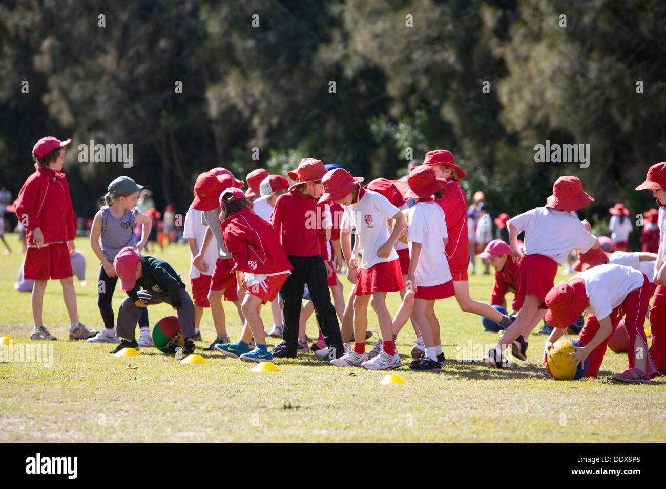 Groupe d'enfants de l'école primaire de Sydney jeu sport et activités,sydney,Avalon Banque D'Images