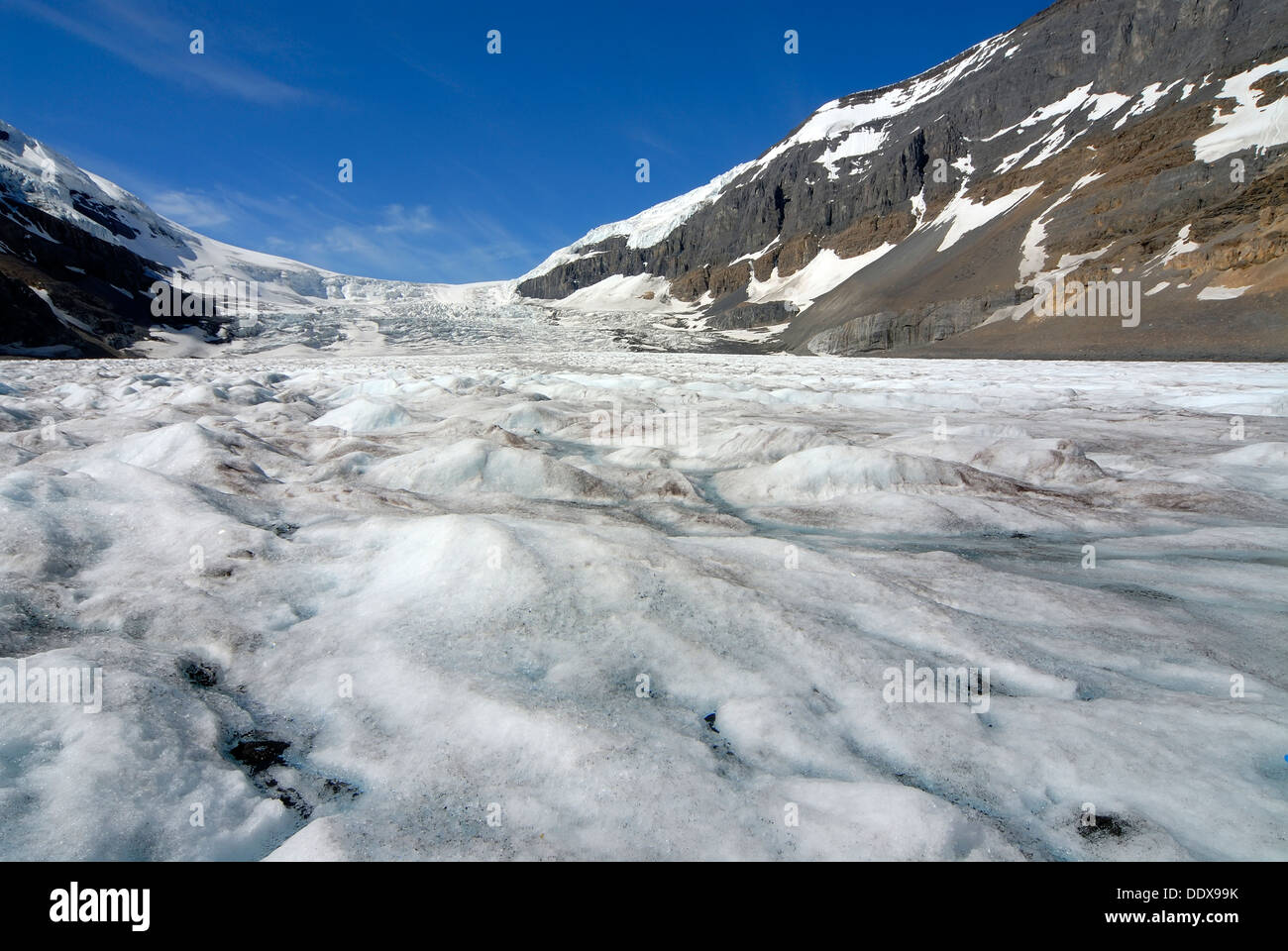 Glacier Athabasca, Alberta, Canada Banque D'Images