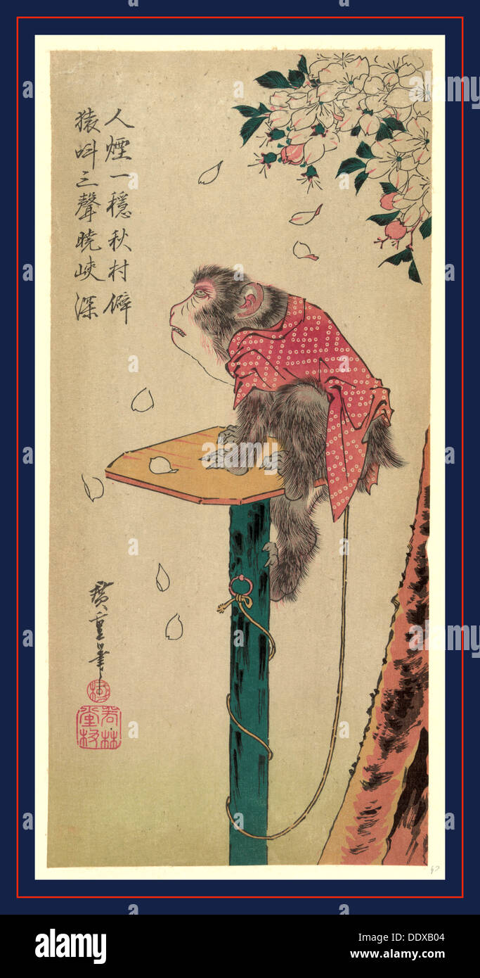 Sakura ni tsunagizaru, singe en laisse et cerisiers. [Entre 1830 et 1858, imprimé plus tard] Banque D'Images
