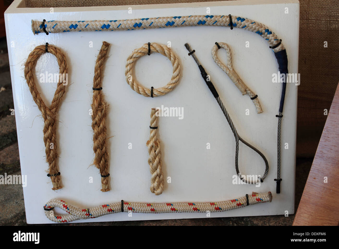 Noue le nœud, corde montrer la méthode des nœuds, collège international de formation de bateaux, exposition de nœuds, festival maritime, Great Yarmouth, Norfolk, Royaume-Uni Banque D'Images