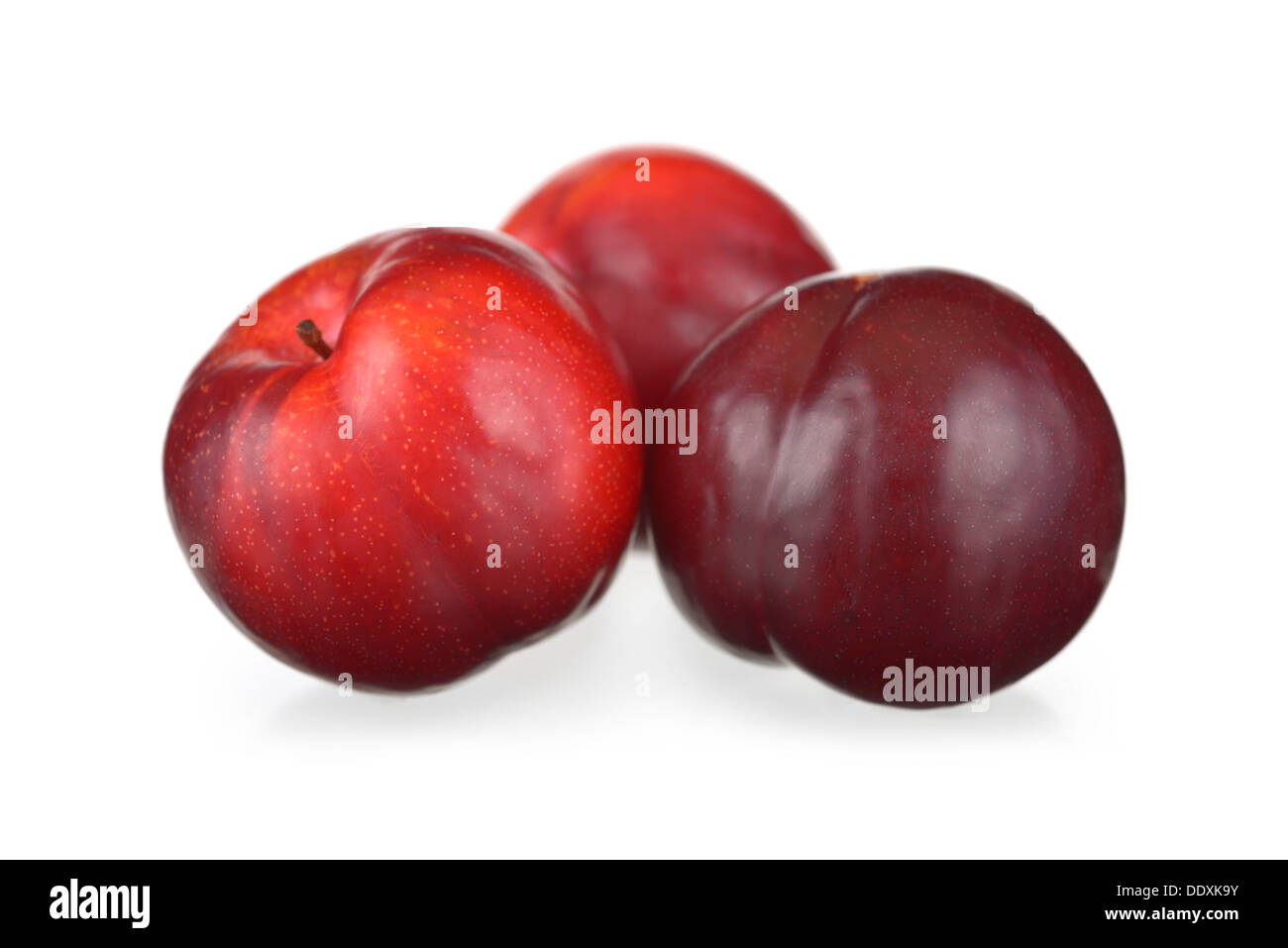 Les prunes, prunes, prunes rouges entiers Banque D'Images