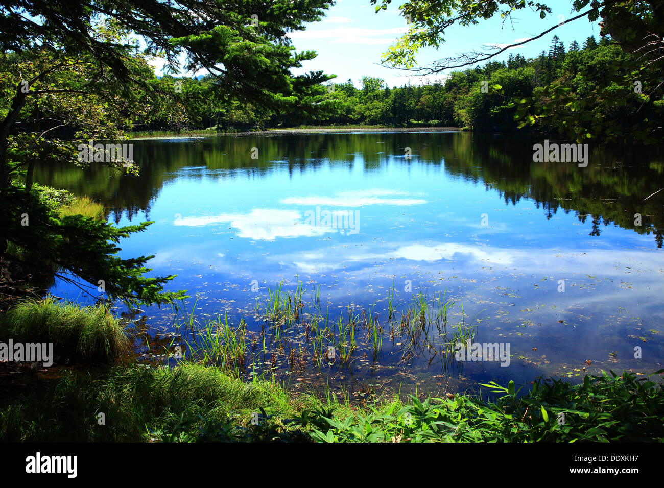Cinq lacs de Shiretoko, Hokkaido Banque D'Images