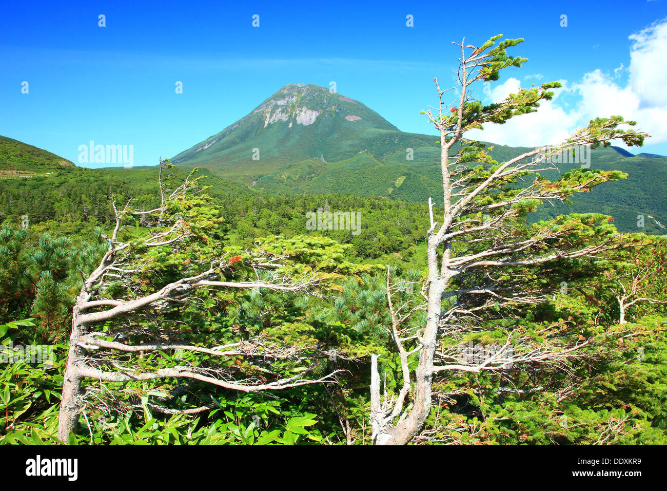 Mont Rausu, Hokkaido Banque D'Images