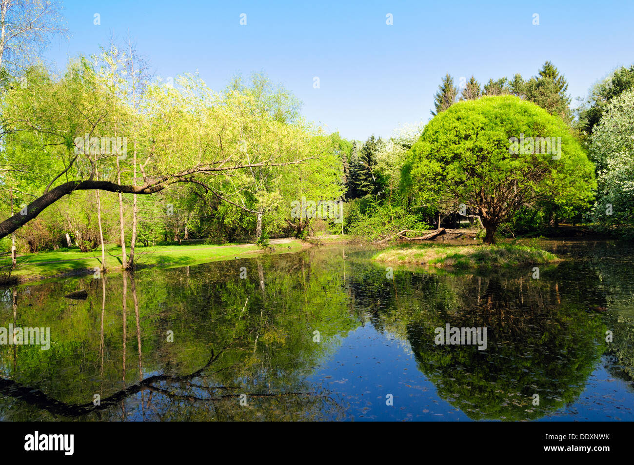 Magnifique parc au coucher du soleil. L'eau lisse d'un étang reflète Banque D'Images