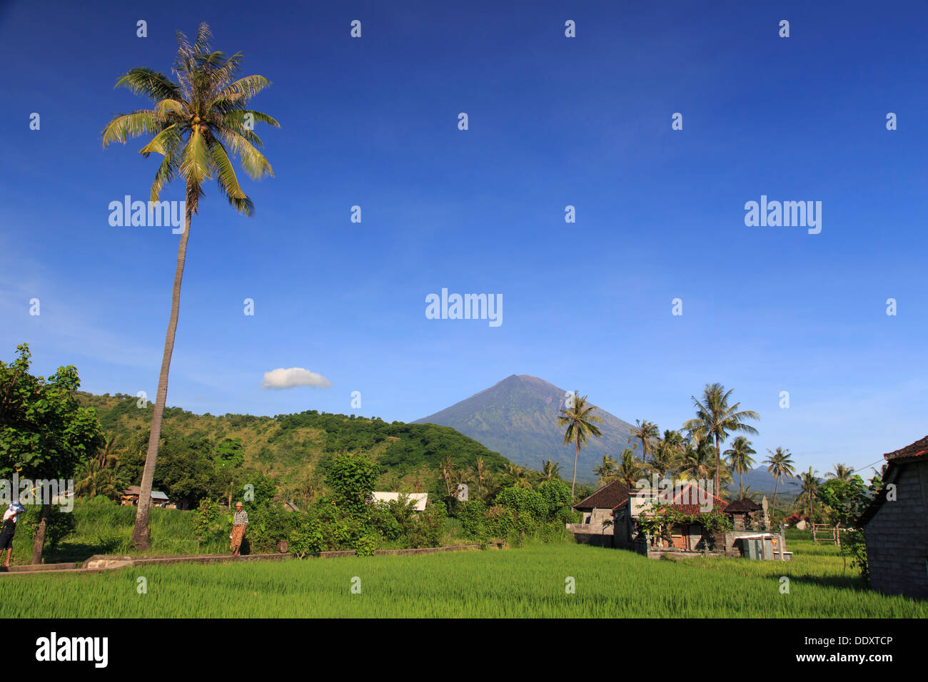 L'INDONÉSIE, Bali, à l'Est de Bali, Amed, les rizières et le volcan Gunung Agung Banque D'Images