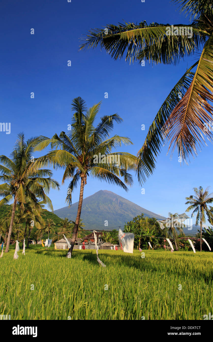 L'INDONÉSIE, Bali, à l'Est de Bali, Amed, les rizières et le volcan Gunung Agung Banque D'Images