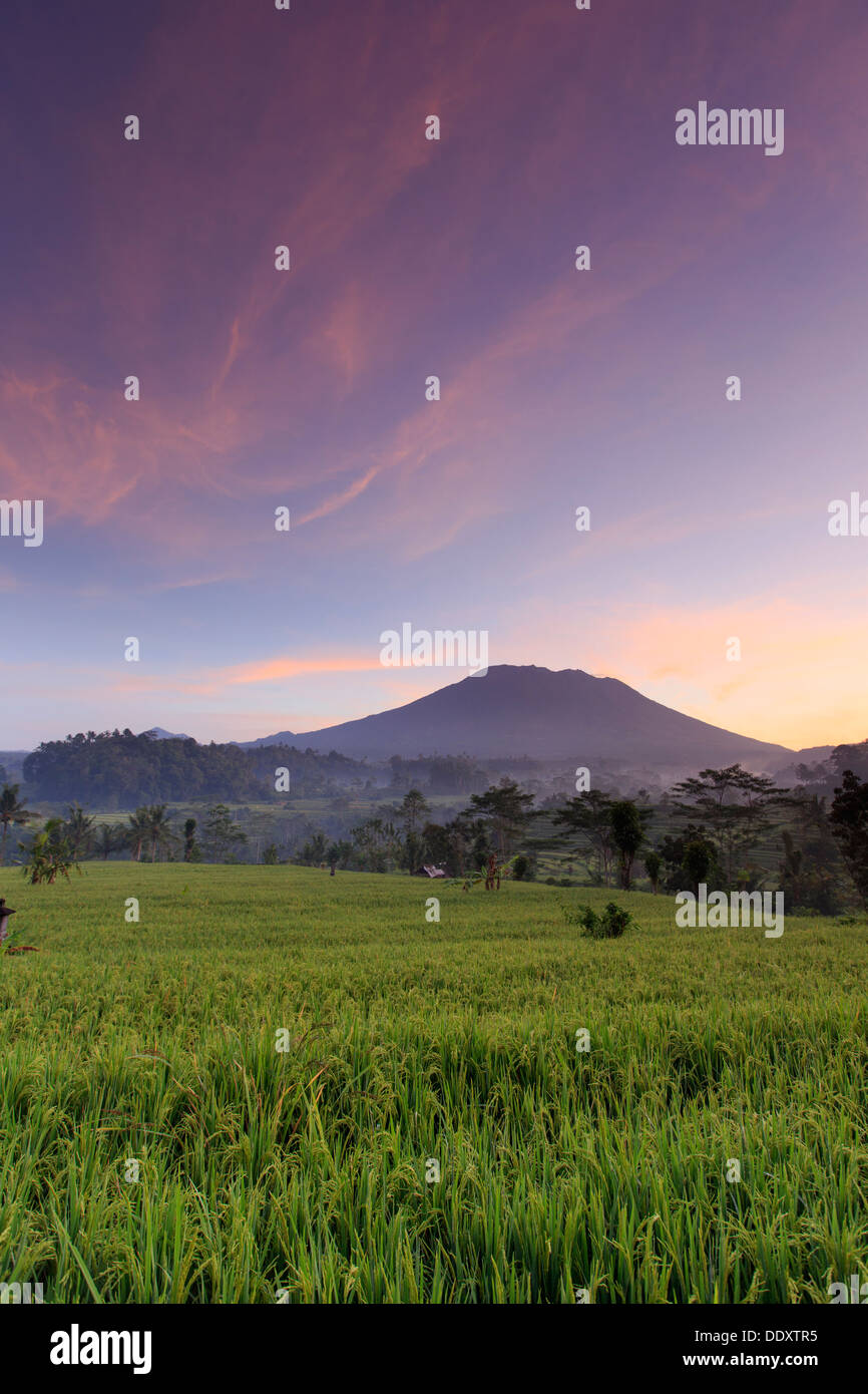 L'INDONÉSIE, Bali, la vallée de Sidemen, Iseh, les rizières et le volcan Gunung Agung Banque D'Images