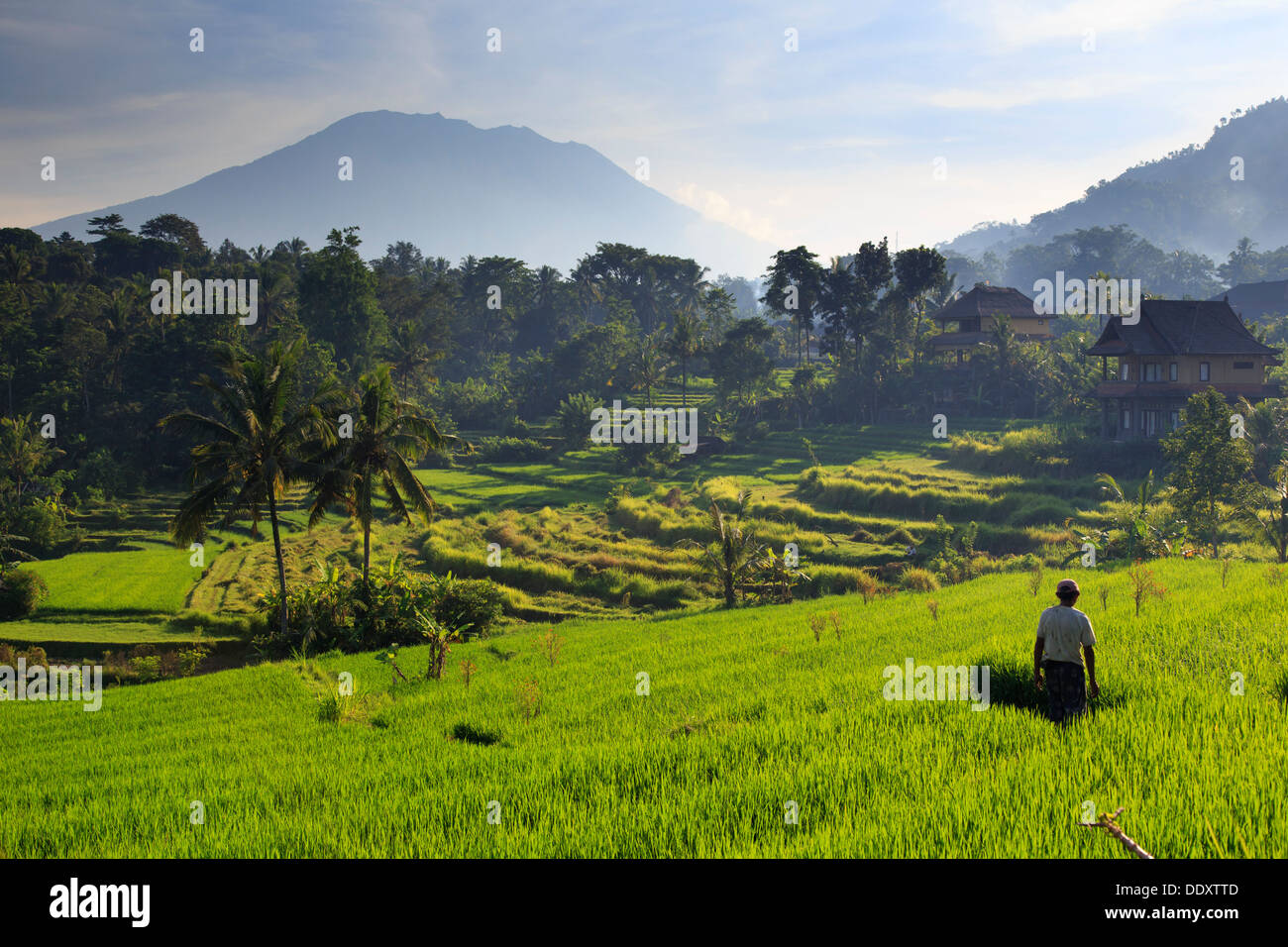 L'INDONÉSIE, Bali, la vallée de Sidemen, les rizières et le volcan Gunung Agung Banque D'Images