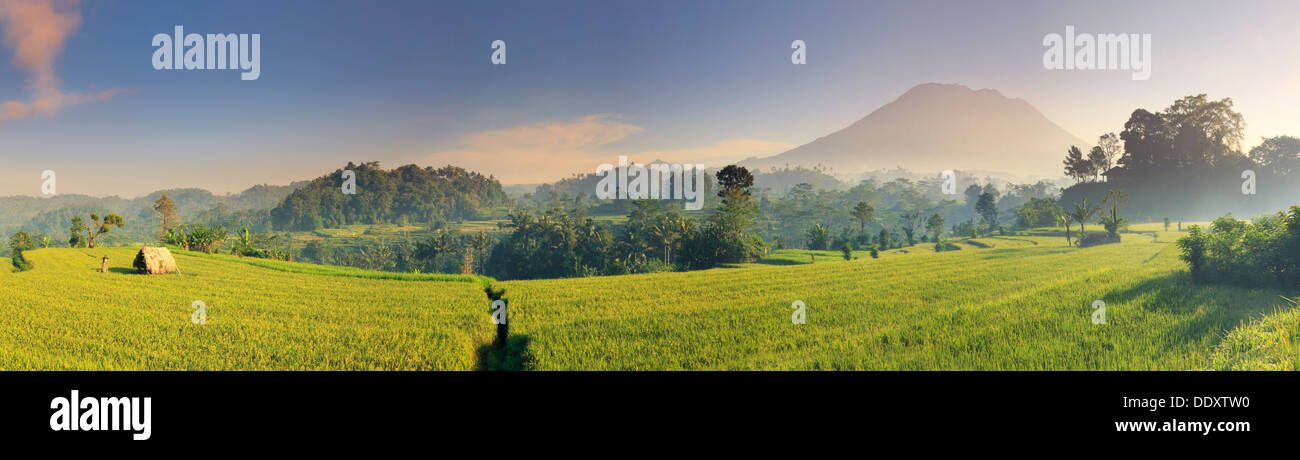 L'INDONÉSIE, Bali, Sidemen, Iseh, les rizières et le volcan Gunung Agung Banque D'Images