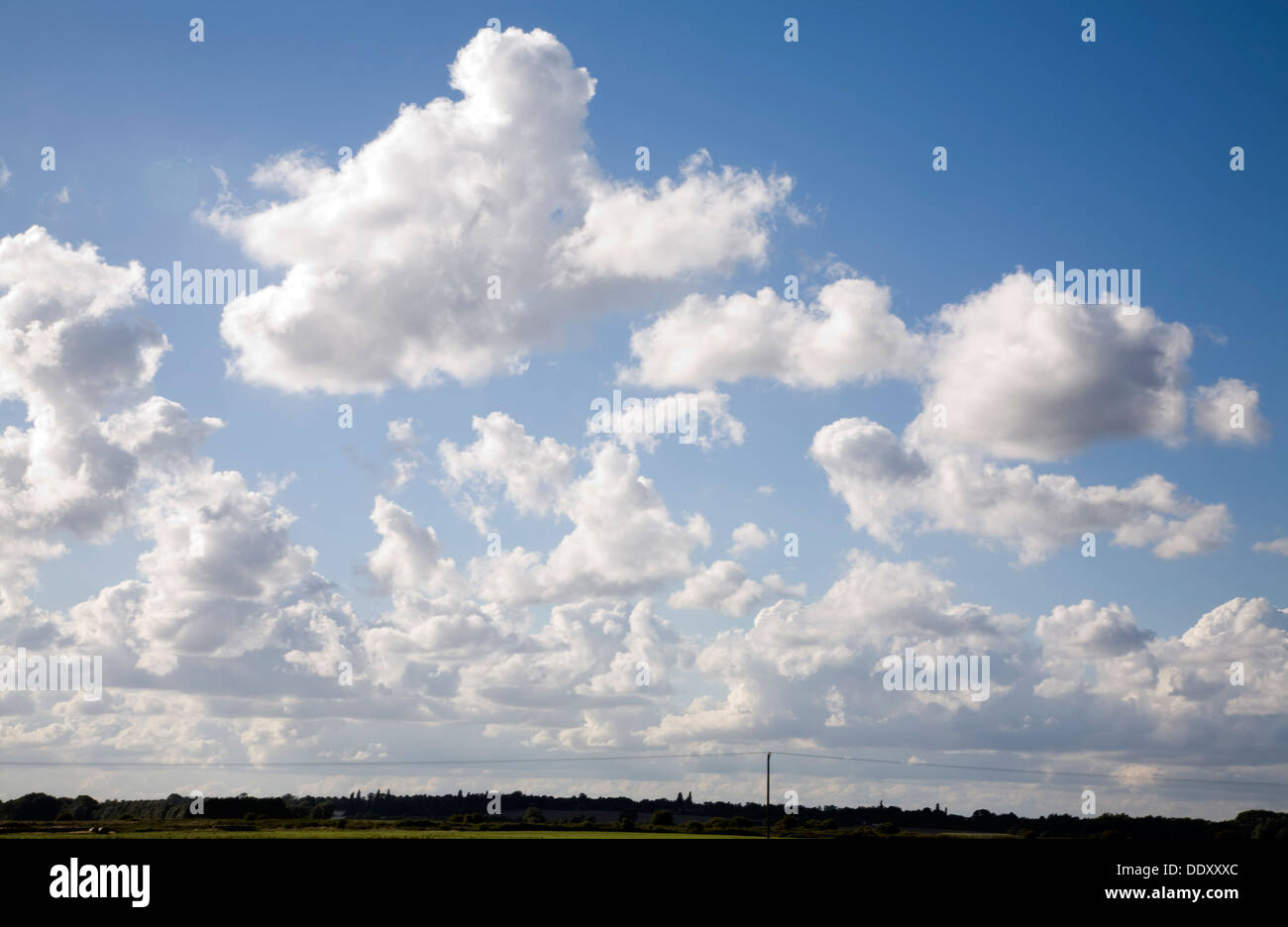 Cumulus blanc bleu ciel d'été dans le Suffolk, Angleterre Banque D'Images