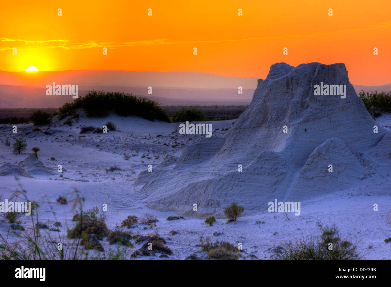 Dunes de gypse de Cuatro Ciénegas Las Arenales, Cuatro Ciénegas Réserve Naturelle, Coahuila, Mexique Banque D'Images