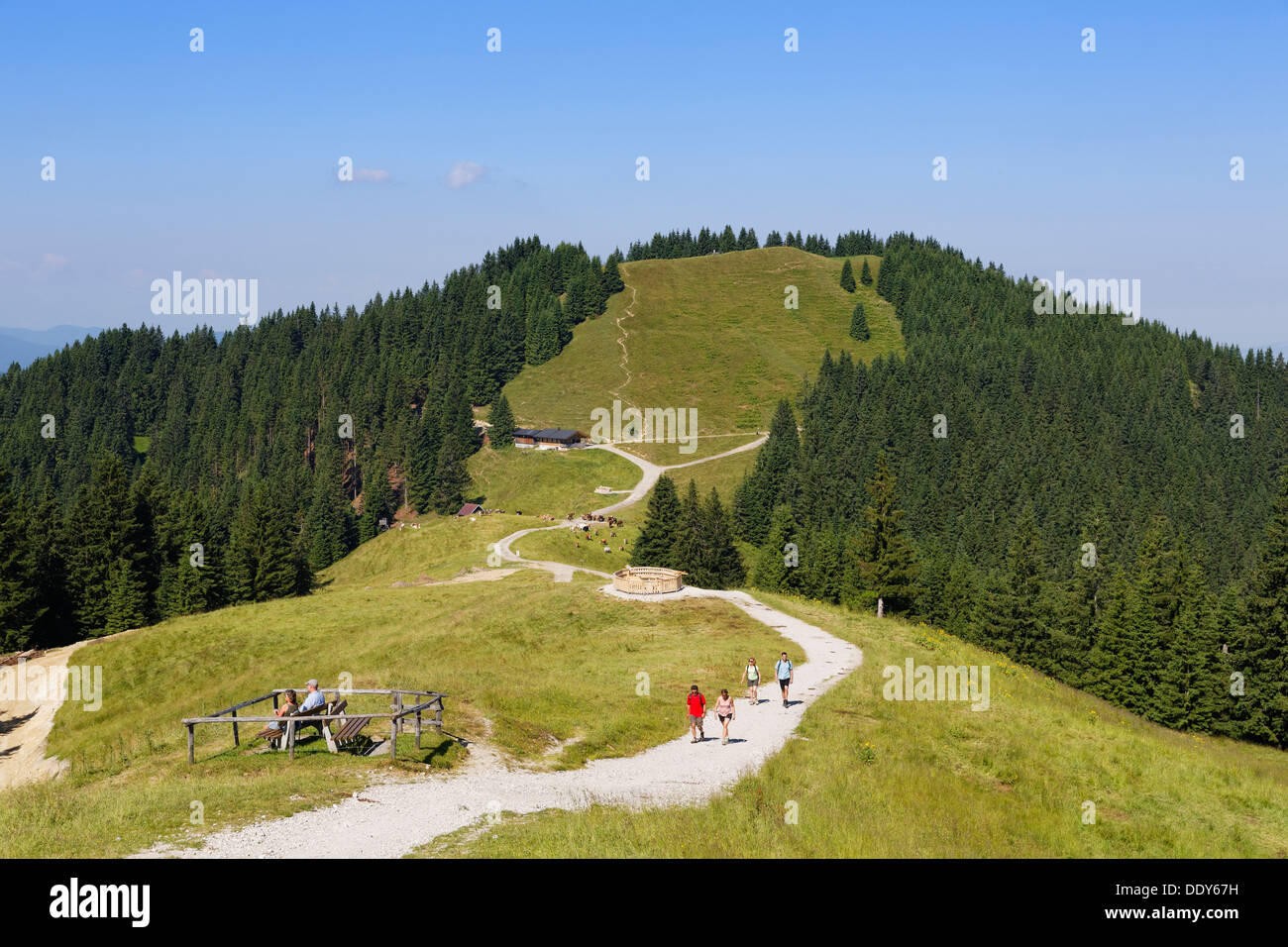 Mittleren Hoernle, Hoernlealm pâturage de montagne Banque D'Images