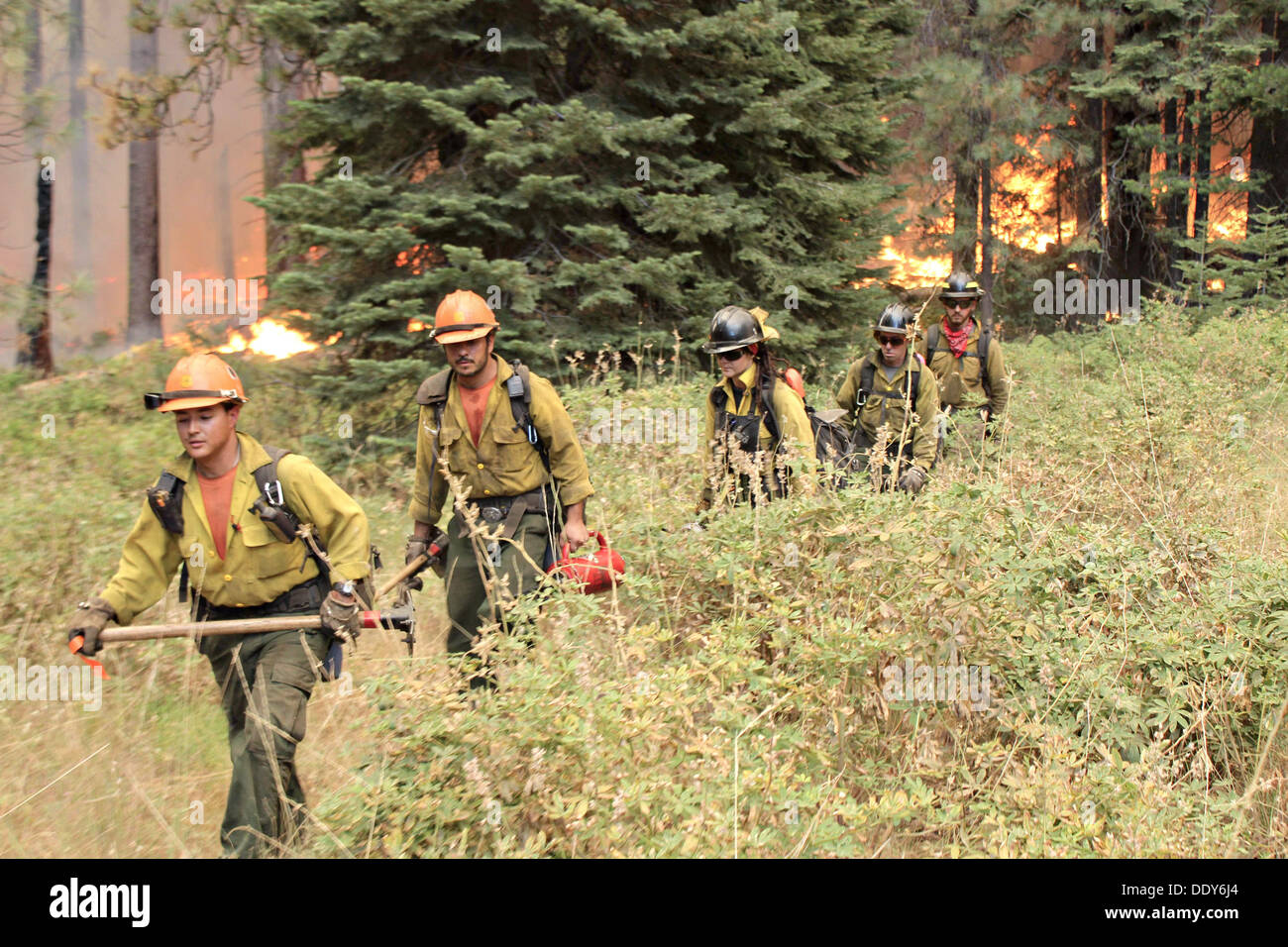 Le Horseshoe Meadows Hotshot interagences forum squad promenades le long trail de tenir la ligne sur le flanc sud de la Rim Fire pendant l'incendie du 17 août 2013 près de Yosemite, CA. Banque D'Images