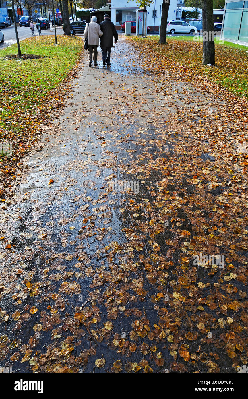Feuillage automne humide sur un trottoir, Munich, Bavière Banque D'Images