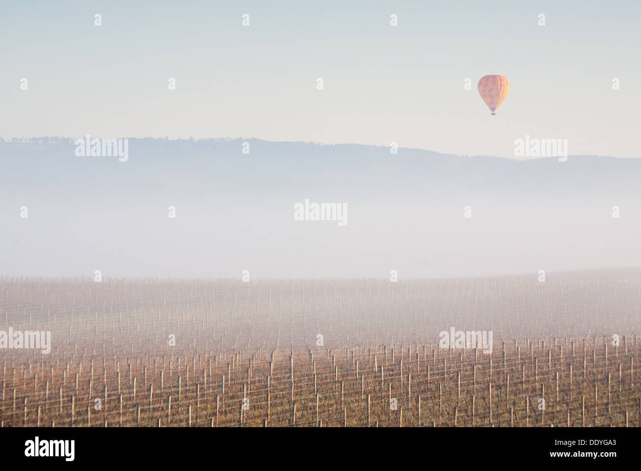 Ballon à air chaud au lever du soleil sur la vallée de Yarra en hiver Banque D'Images