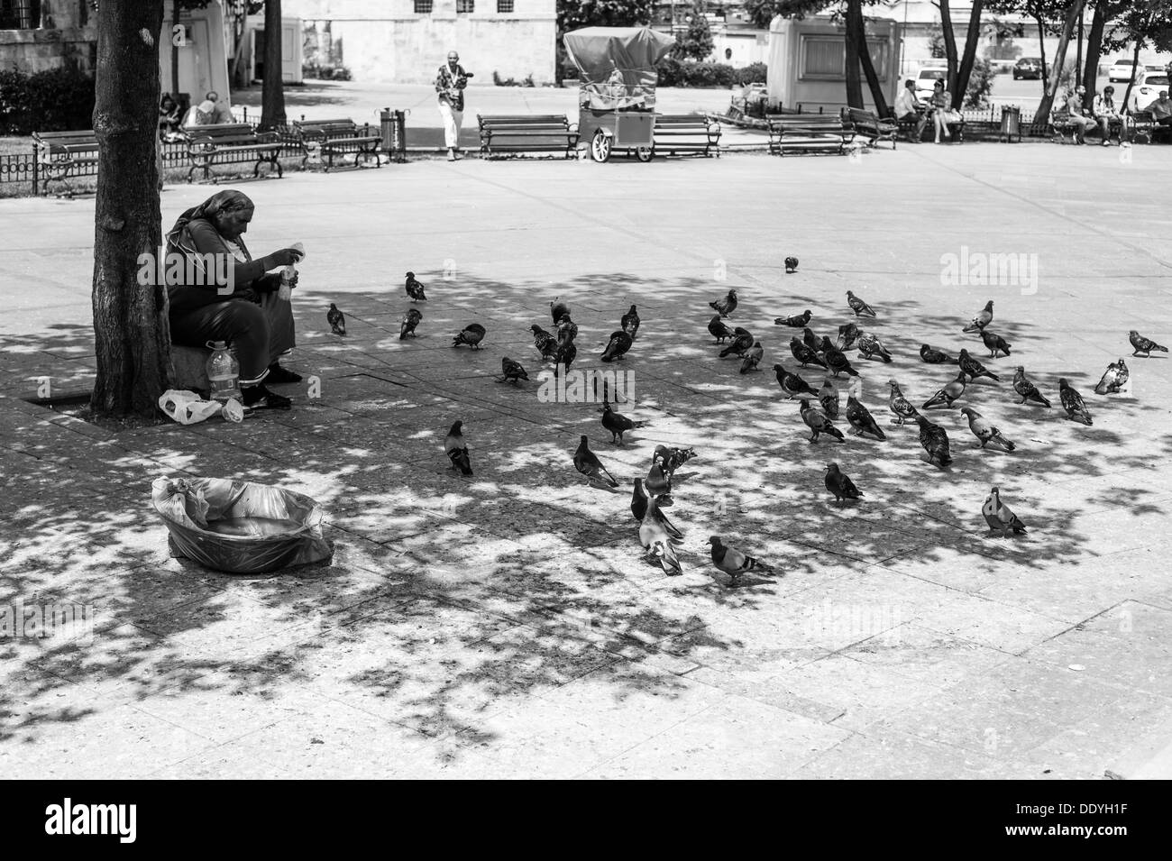 Les pigeons nourris par une vieille dame dans un carré à Istanbul Banque D'Images